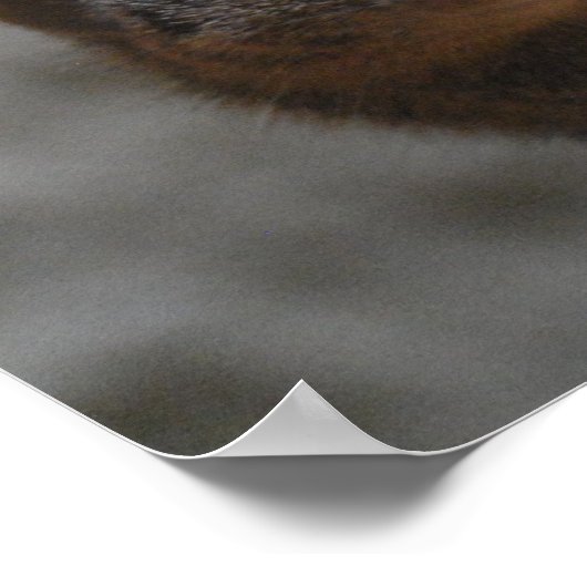 Gongsachtig Poster (Hoek)