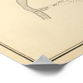 Gonic PO Poster (Hoek)