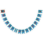 goochelaar meisje Show verjaardagsfeestje Vlaggetjes (Alle)