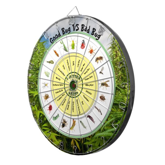Good Bugs VS Bad Bugs Dartbord (Voorkant Rechts)