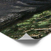 Good Bull Moose Poster (Hoek)