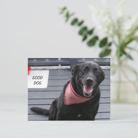 GOOD DOG BRIEFKAART (Staand voorkant)