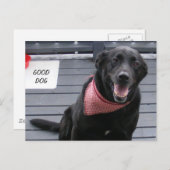 GOOD DOG BRIEFKAART (Voorkant / Achterkant)