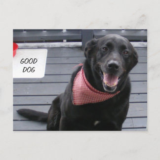 GOOD DOG BRIEFKAART