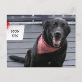 GOOD DOG BRIEFKAART (Voorkant)