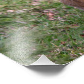 Good Hare Day Print Foto Afdruk (Hoek)