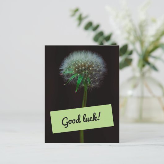 Good Luck Dandelion Briefkaart (Staand voorkant)