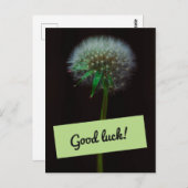 Good Luck Dandelion Briefkaart (Voorkant / Achterkant)