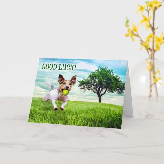 Good Luck Jack Russel Terrier die Fetch speelt Kaart (Gele Bloem)