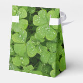 Good Luck klaver verpakking gunst doos Bedankdoosjes (Achterkant)