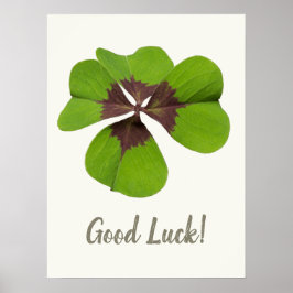 Good Luck Lucky Charm Four-leaf klaver Gift Poster