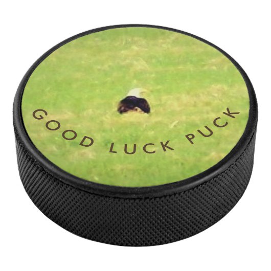 Good Luck Puck (3/4)