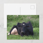 Good Moarning WI Briefkaart (Voorkant / Achterkant)