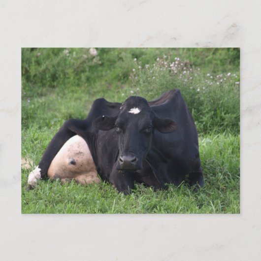 Good Moarning WI Briefkaart (Voorkant)