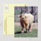 Good Mooooning Highland Bull Briefkaart (Voorkant / Achterkant)