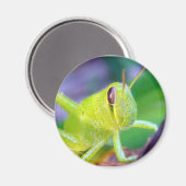 Good Morning Grasshopper magnet (Voorkant / Achterkant)