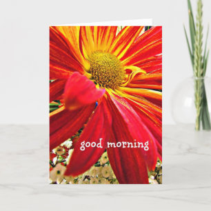 Good Morning Note Card Kaart