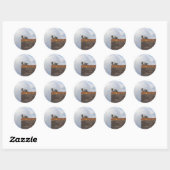 Good Morning Pigeon Ronde Sticker (Vel)