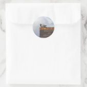 Good Morning Pigeon Ronde Sticker (Tas)