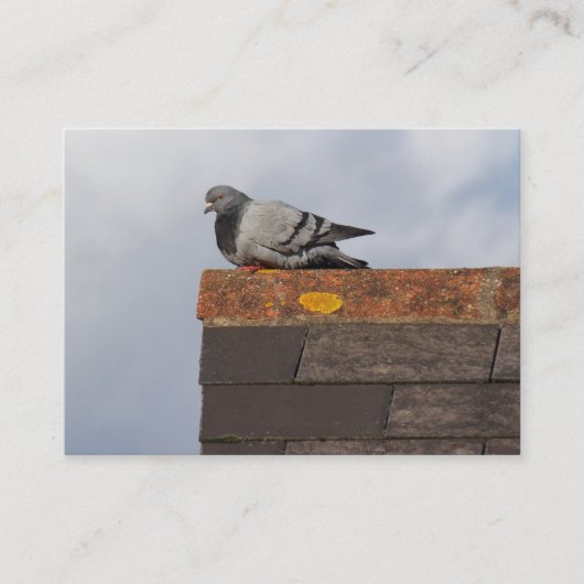 Good Morning Pigeon Visitekaartje (Voorkant)