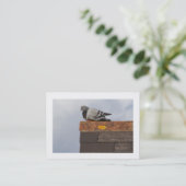 Good Morning Pigeon Visitekaartje (Staand voorkant)