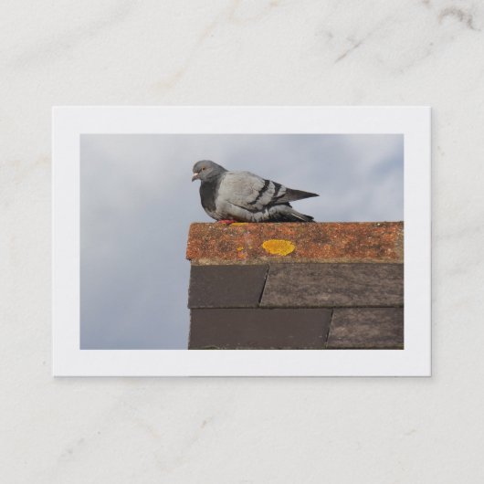 Good Morning Pigeon Visitekaartje (Voorkant)