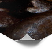 Good Morning Poster (Hoek)