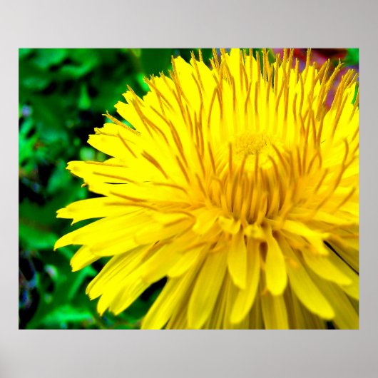 Good Morning Sunshine Poster (Voorkant)