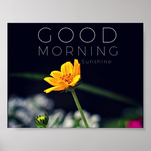 Good Morning Sunshine Poster Print (Voorkant)