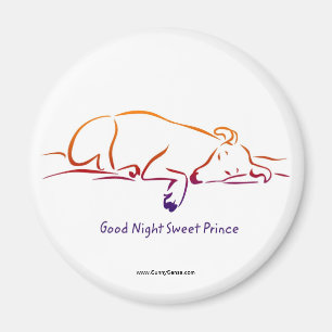 Good Night Sweet Prince magneten