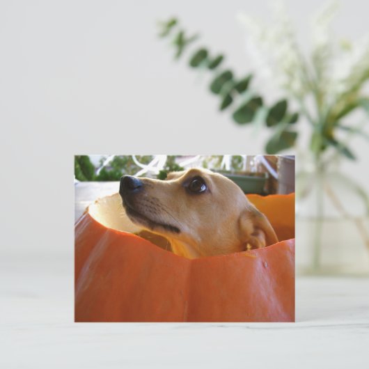 Good Rufus Pumpkin Briefkaart (Staand voorkant)