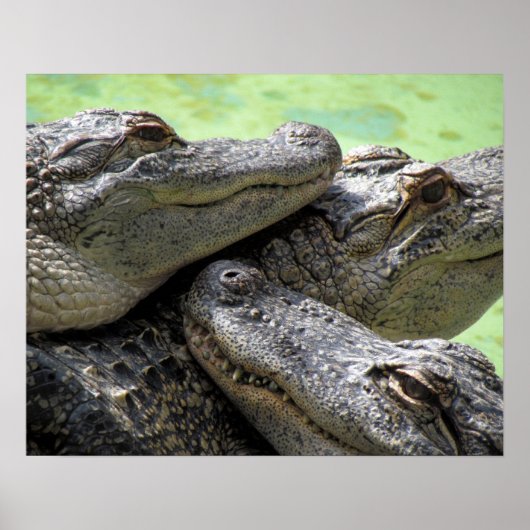 Good Times Poster (Voorkant)