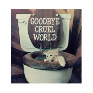 "Goodbye Cruel World" Staand Fotobeeldje