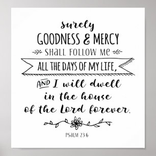 Goodness en Mercy zullen me zeker volgen. Poster