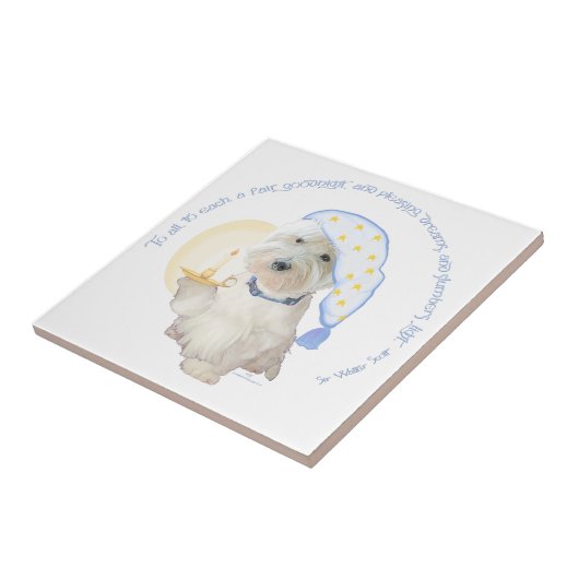 Goodnight Blue Tegeltje (Zijkant)