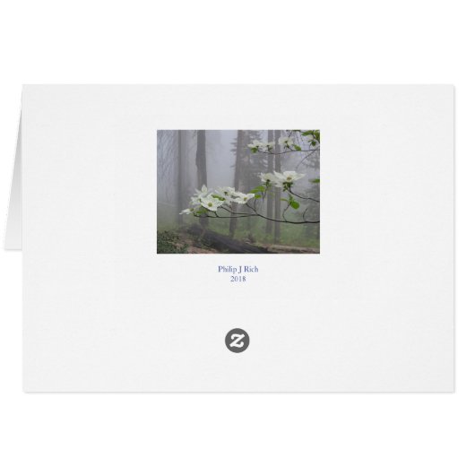 Goodnight Moon (Achterkant Horizontaal)