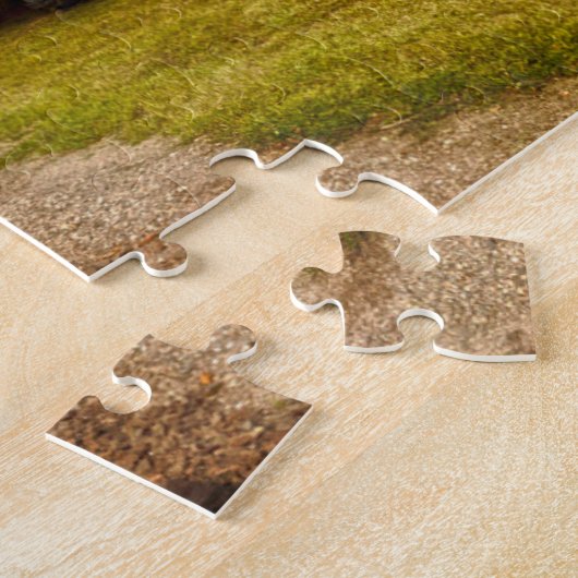 Goodspeed Boxcars. Legpuzzel (Zijkant)