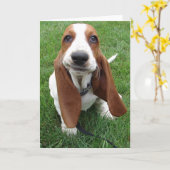 Goofy Basset Hound-Wenskaart Kaart (Gele Bloem)