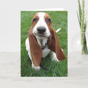 Goofy Basset Hound Wenskaart Kaart