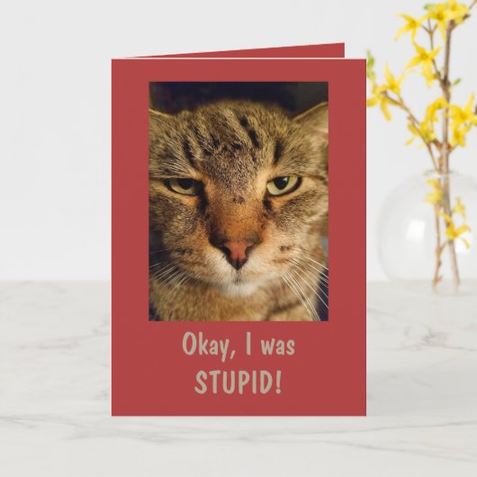 Goofy Cat "Het spijt me" Kaart (Gele Bloem)