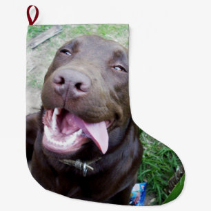 Goofy Delights: Chocolate Brown Labrador Puppy, Grote Kerstsok