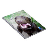 Goofy Delights: Chocolate Brown Labrador Puppy, Notitieboek (Rechterzijde)
