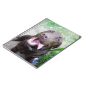 Goofy Delights: Chocolate Brown Labrador Puppy, Notitieboek (Linkerzijde)