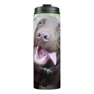 Goofy Delights: Chocolate Brown Labrador Puppy, Thermosbeker