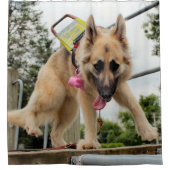 Goofy Douchegordijn (Voorkant)