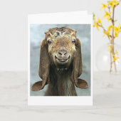 GOOFY GOAT ** HET IS JE VERJAARDAG!!!!** KAART (Gele Bloem)