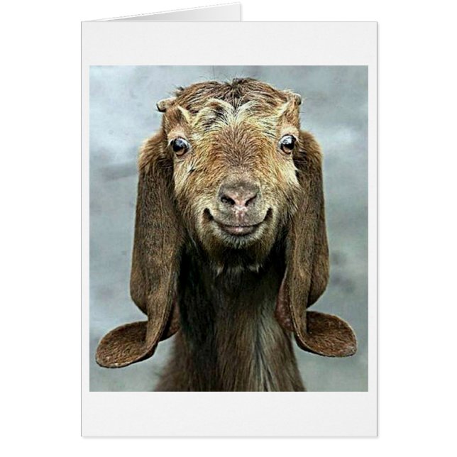 GOOFY GOAT ZEGT DAT JE '50' 'GOED OP JE KIJKT!' (Voorkant)