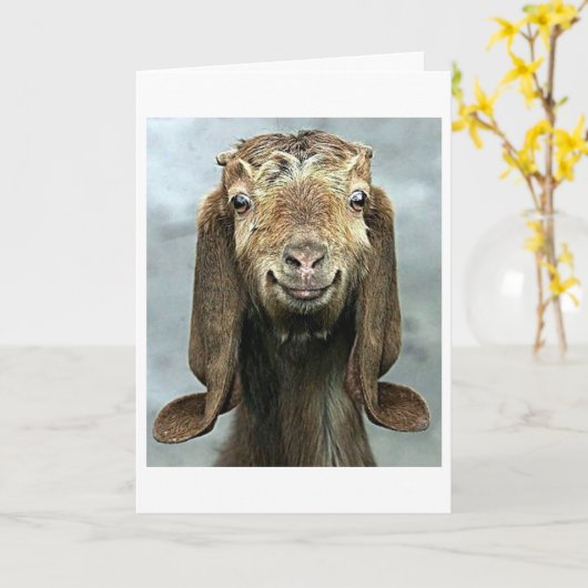 GOOFY GOAT ZEGT DAT JE VERJAARDAG ER *GOED* UITZIE KAART (Gele Bloem)
