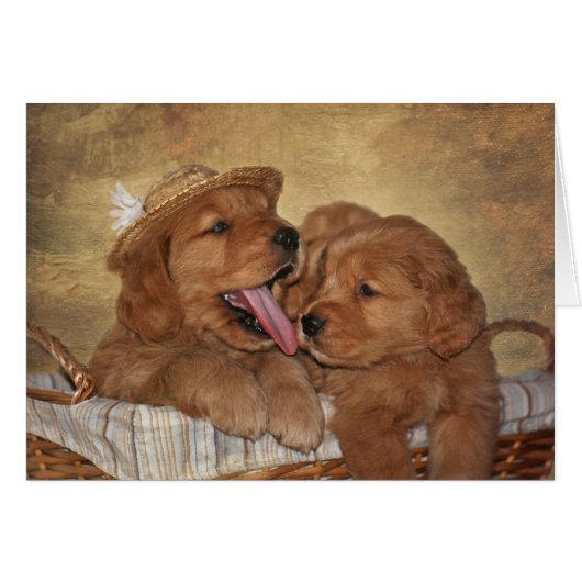 Goofy Golden Retrievers (Voorkant Horizontaal)