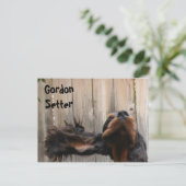 Goofy Gordon Setter Briefkaart (Staand voorkant)